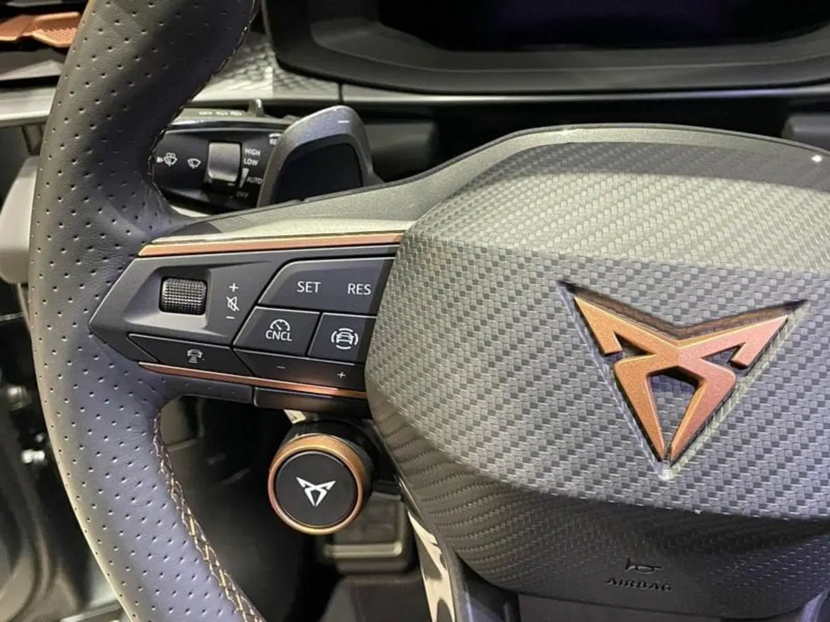 Cupra Terramar usata a Perugia (18)