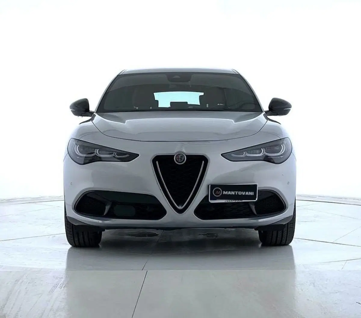 Alfa Romeo Stelvio usata a Perugia (2)