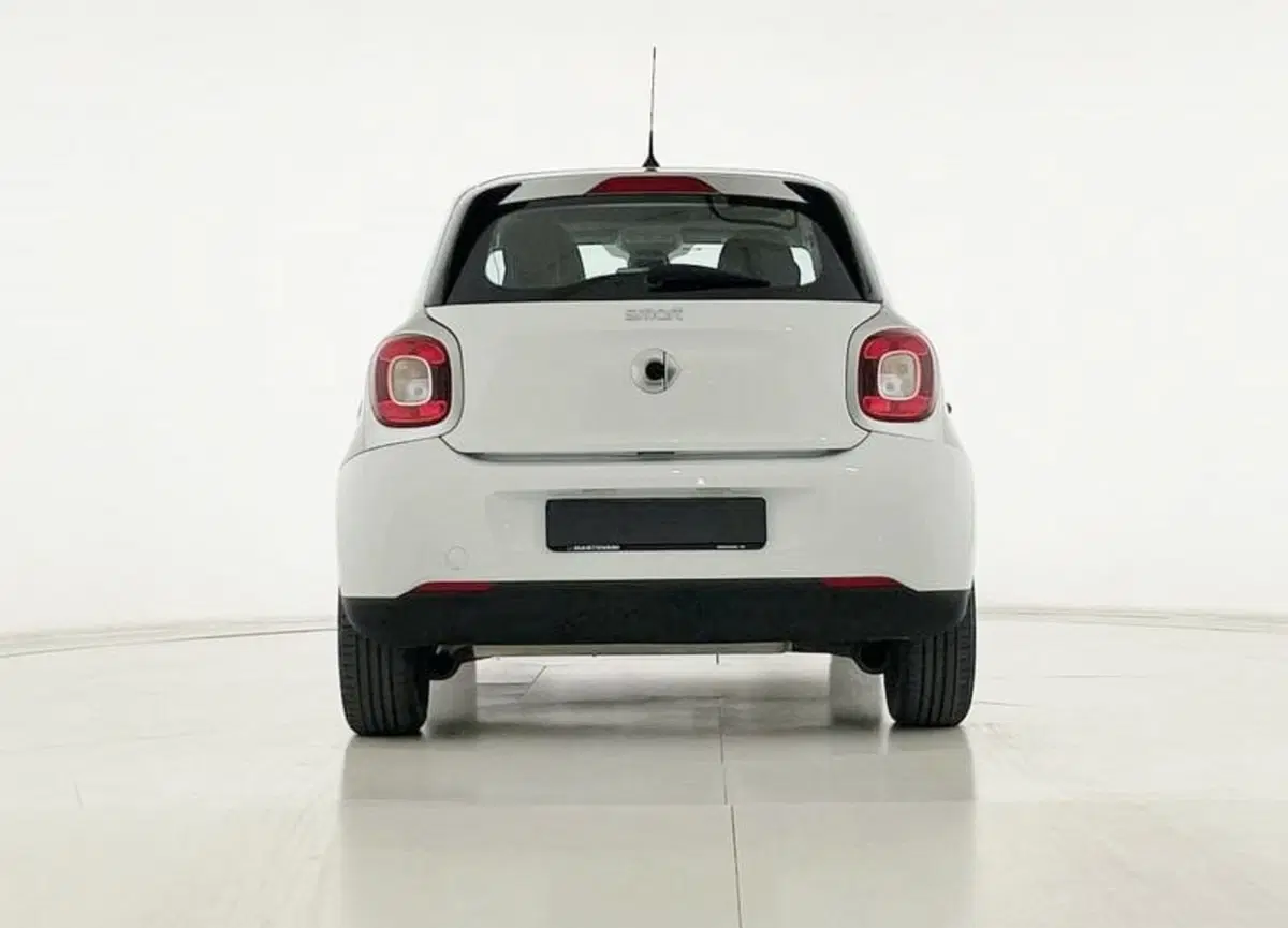 smart forfour usata a Perugia (14)
