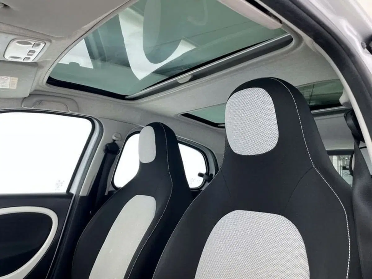 smart forfour usata a Perugia (17)