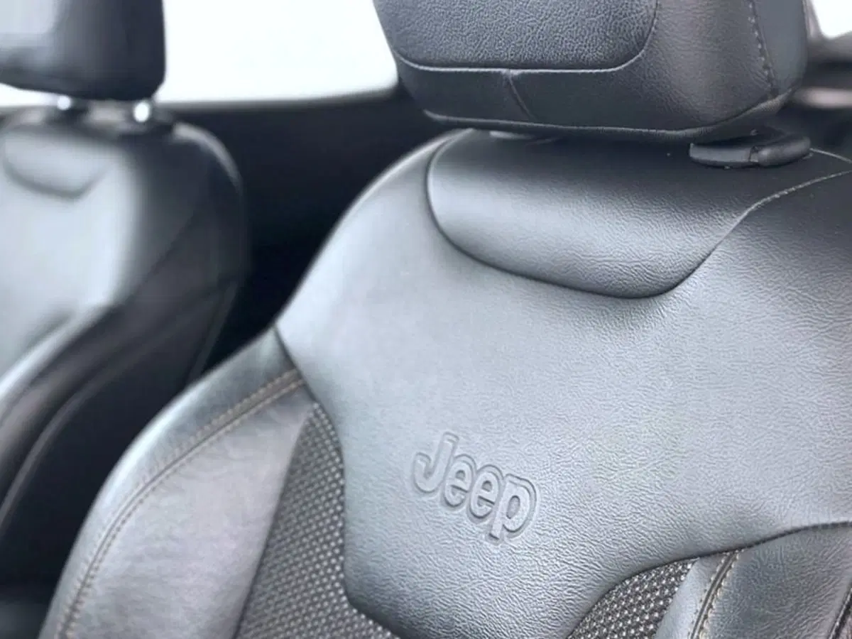 Jeep Compass usata a Perugia (15)