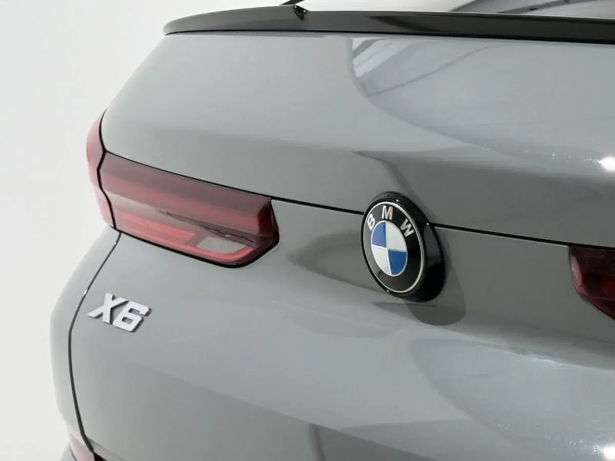 BMW X6 usata a Perugia (11)