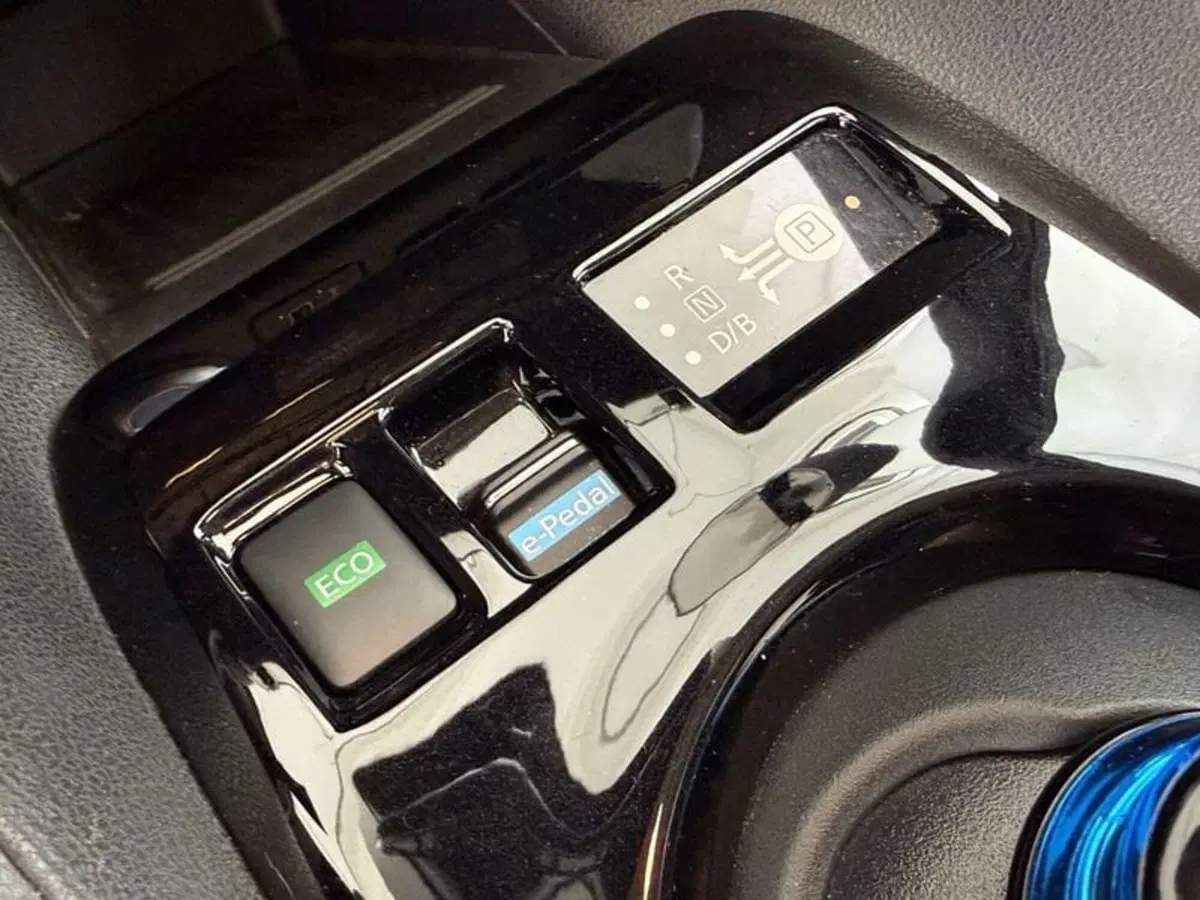 Nissan Leaf usata a Perugia (18)