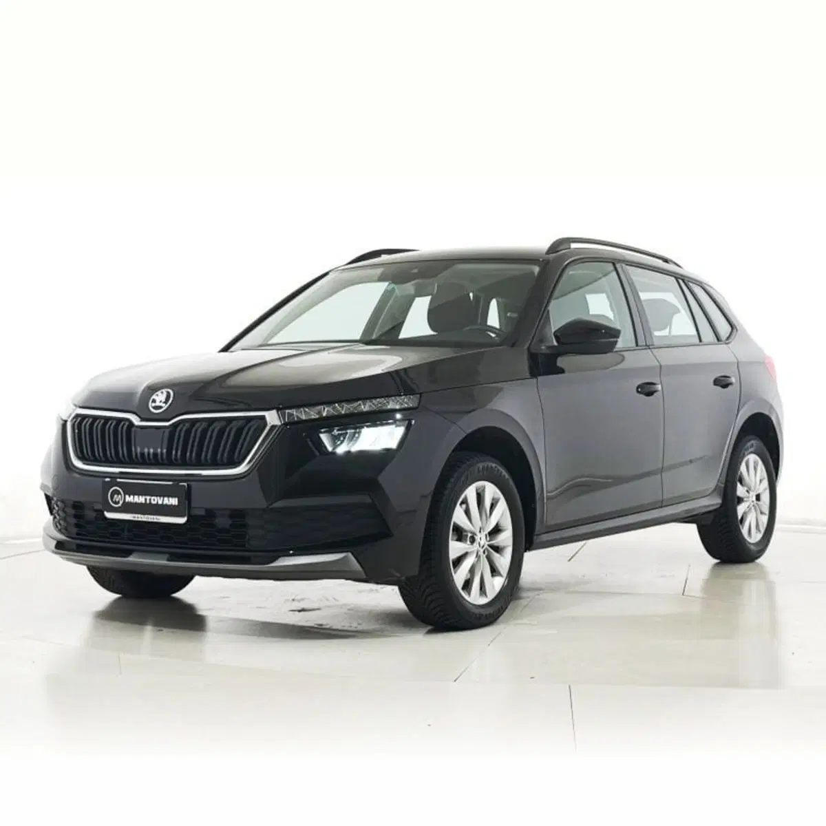 Skoda Kamiq usata a Perugia