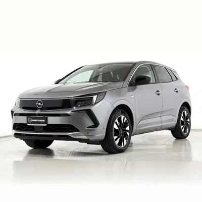 Opel Grandland 1.5 ecotec GS s&s 130cv at8 del 2023 usata a Bastia Umbra
