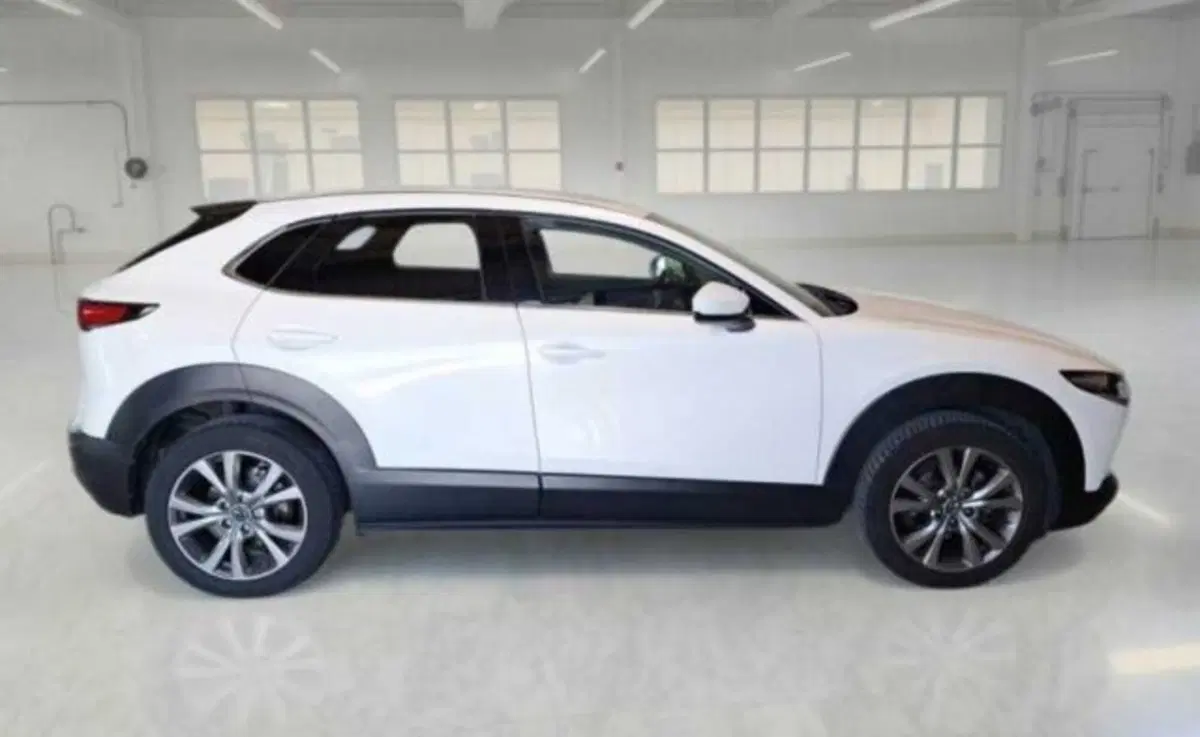 Mazda CX-30 usata a Bologna (6)