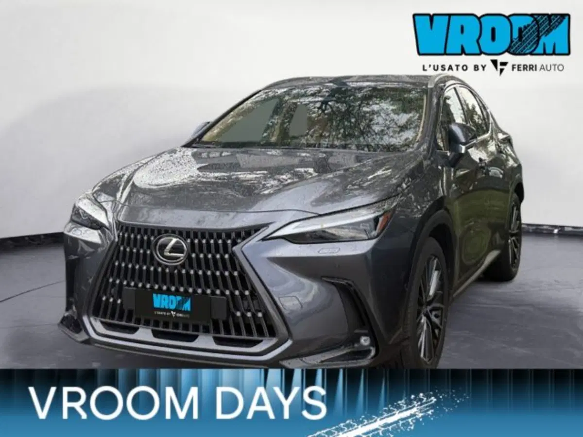 Lexus NX usata a Udine