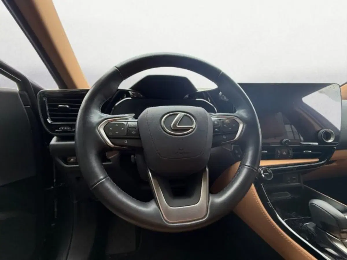 Lexus NX usata a Udine (10)