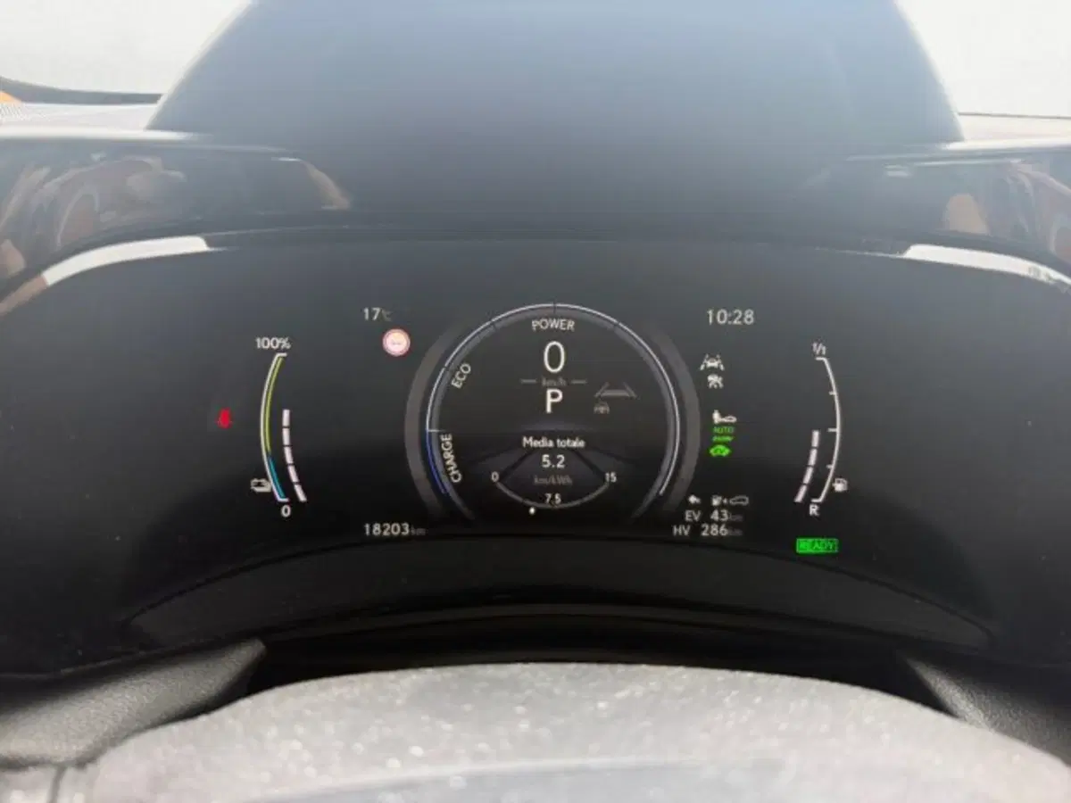 Lexus NX usata a Udine (11)