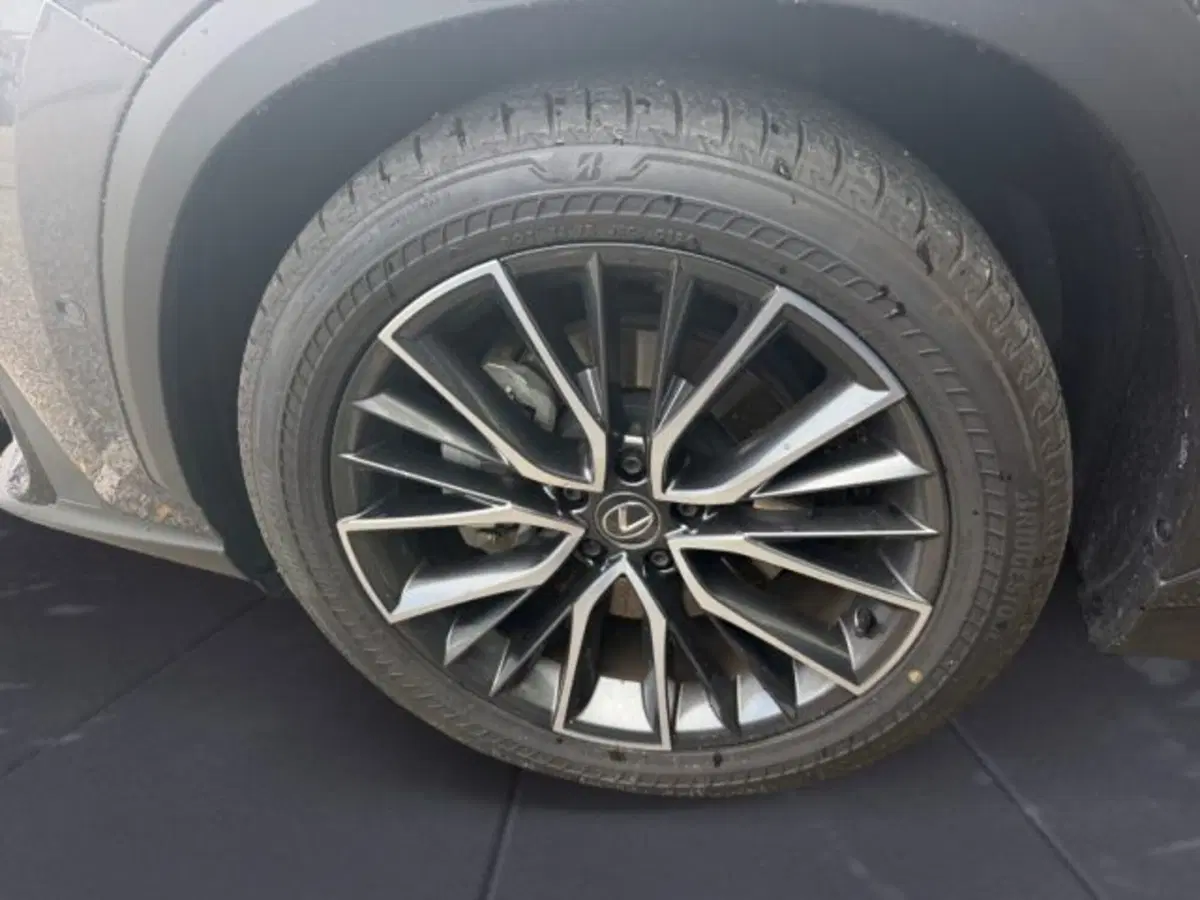 Lexus NX usata a Udine (13)