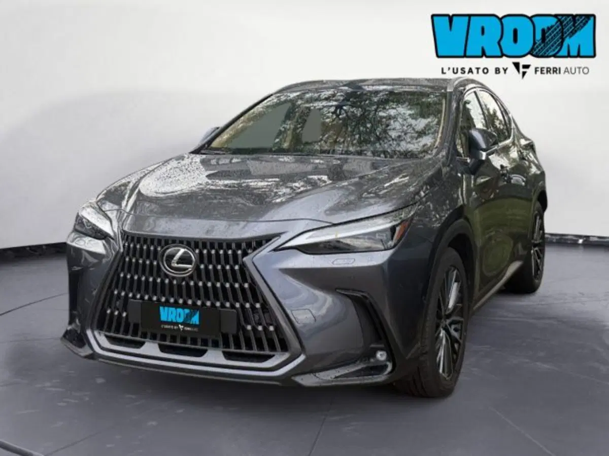 Lexus NX usata a Udine (2)