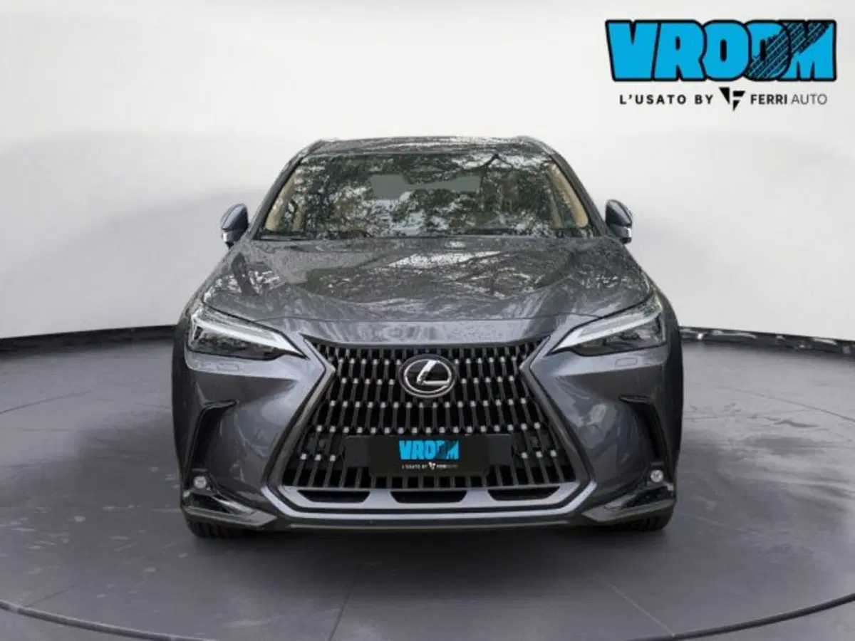 Lexus NX usata a Udine (3)