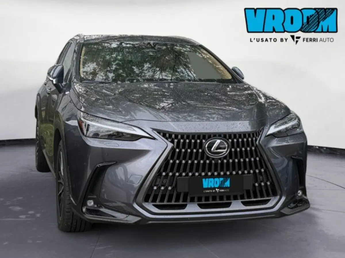 Lexus NX usata a Udine (4)