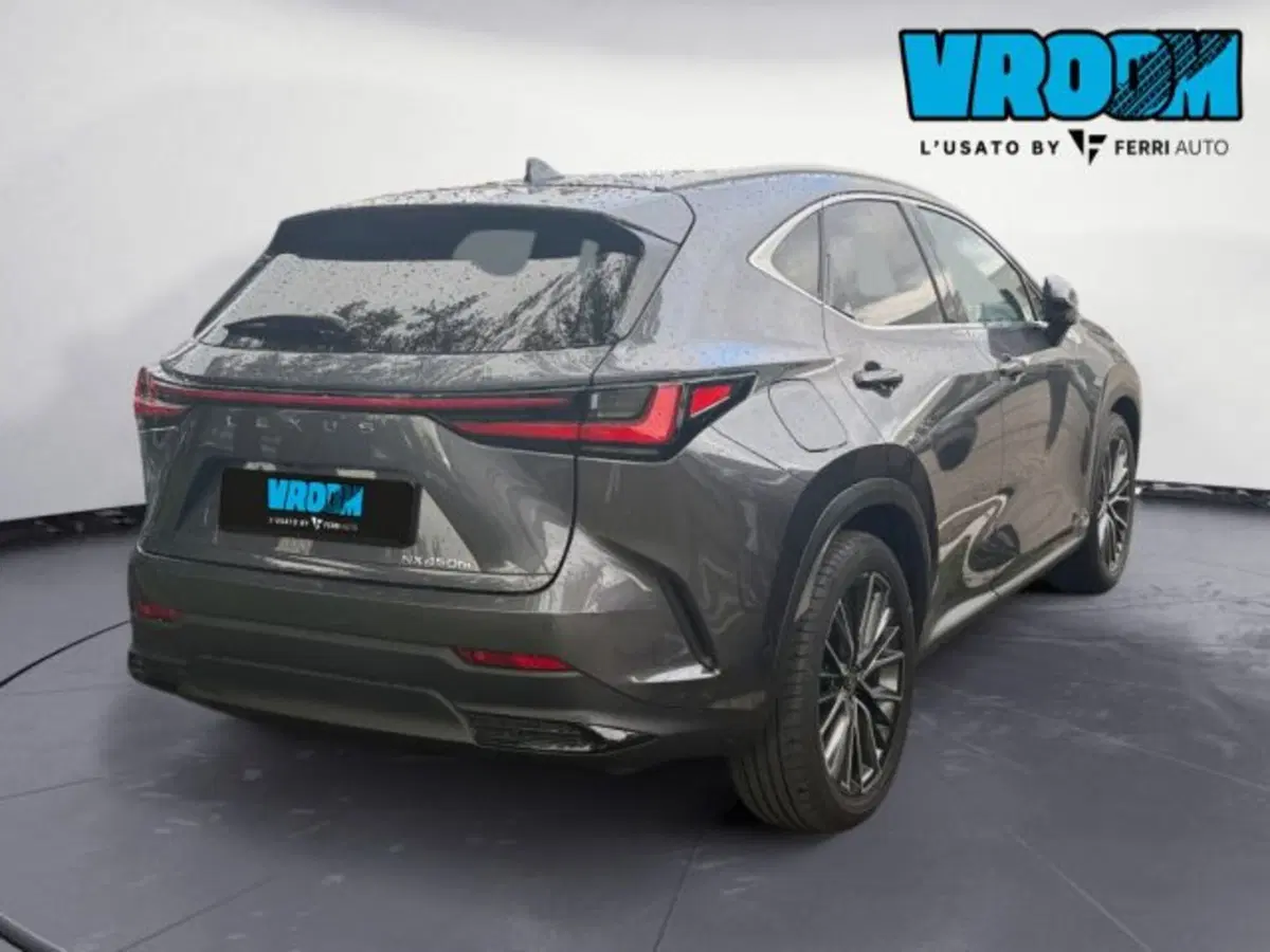 Lexus NX usata a Udine (5)