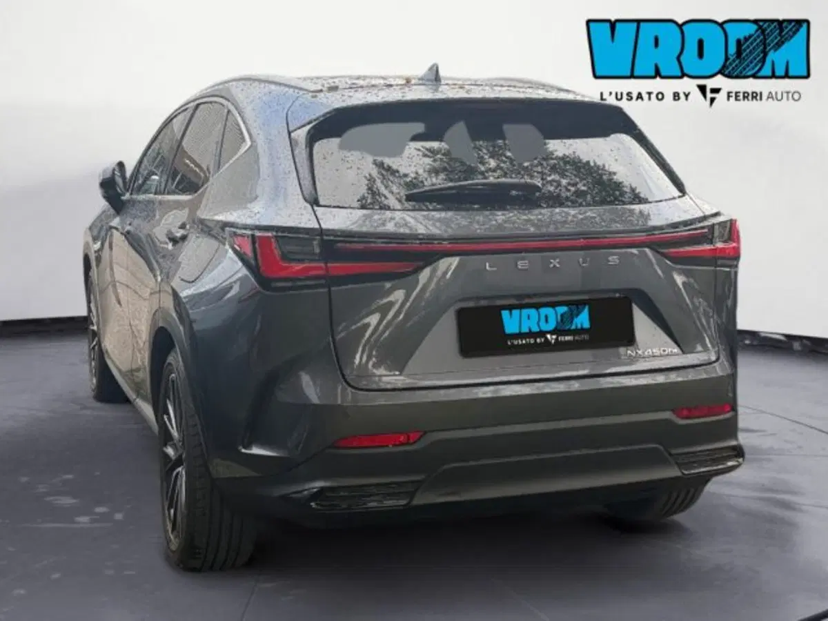 Lexus NX usata a Udine (7)