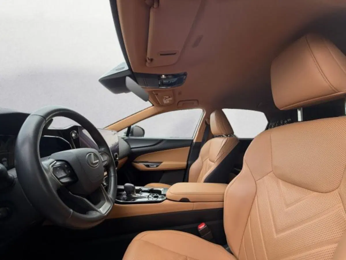 Lexus NX usata a Udine (8)