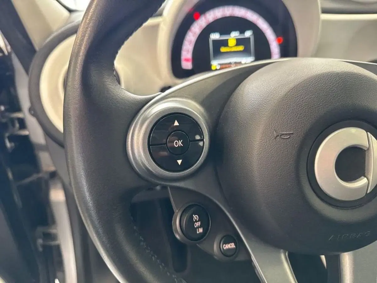 smart forfour usata a Prato (11)