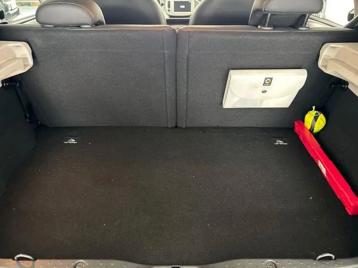 smart forfour usata a Prato (13)