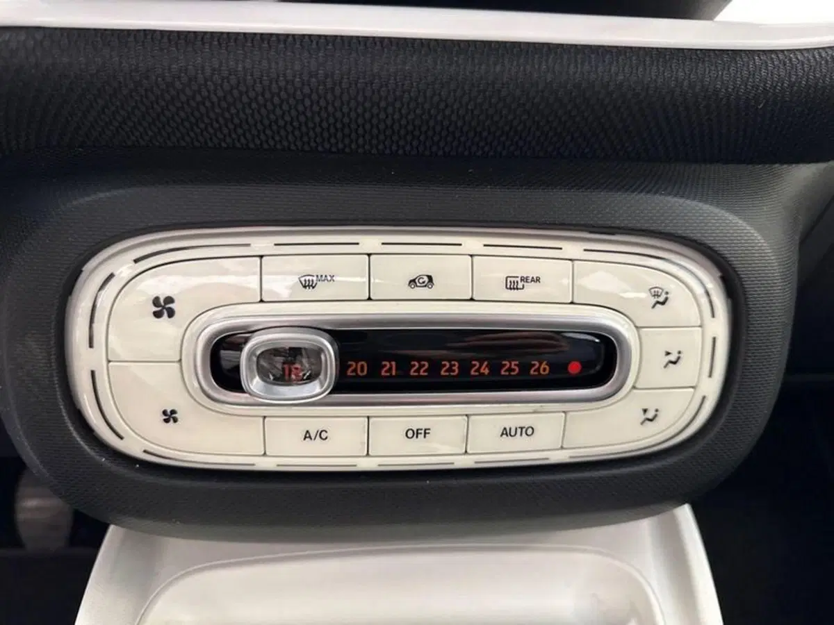 smart forfour usata a Prato (18)