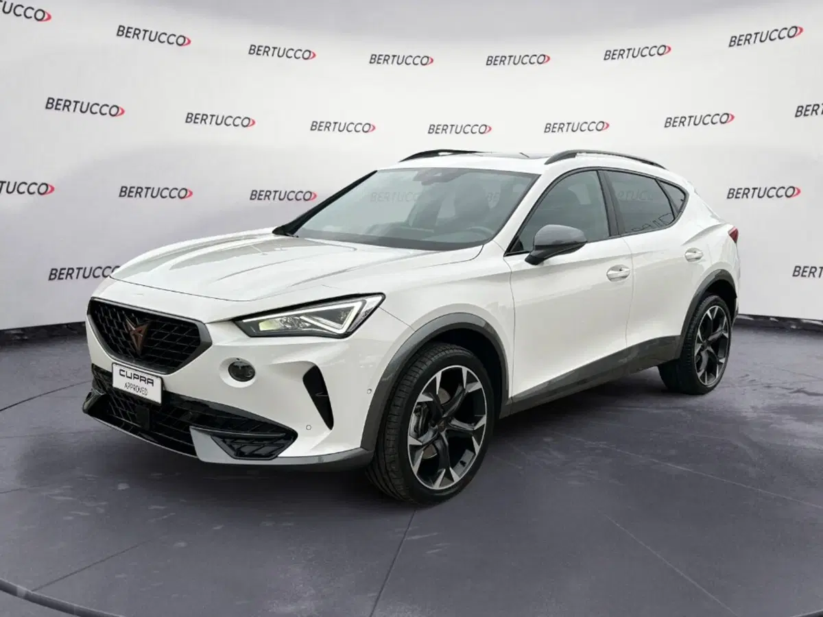 Cupra Formentor usata a Verona (2)