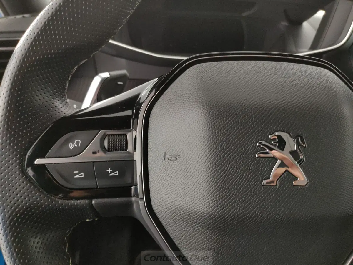 Peugeot 2008 usata a Caserta (19)