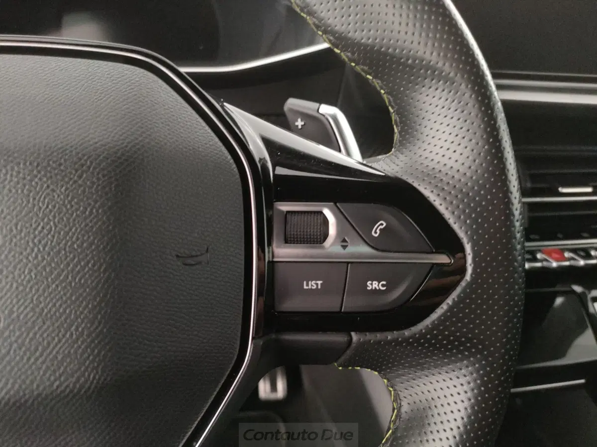 Peugeot 2008 usata a Caserta (20)