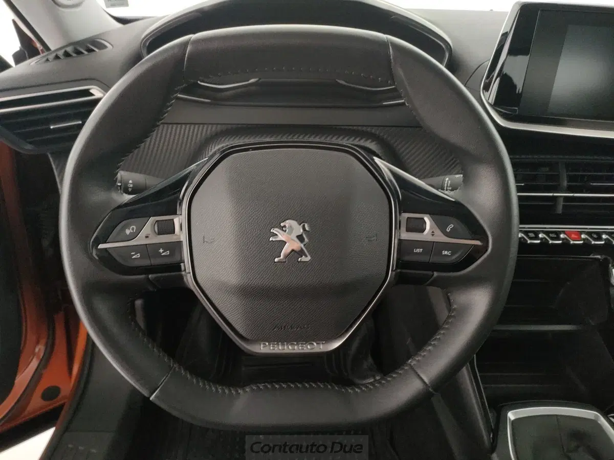 Peugeot 2008 usata a Caserta (18)