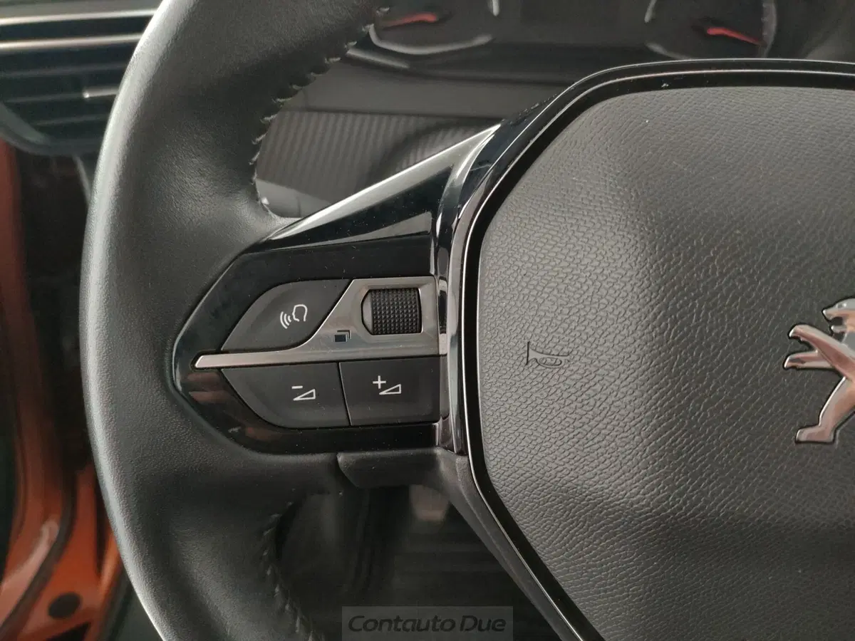 Peugeot 2008 usata a Caserta (19)