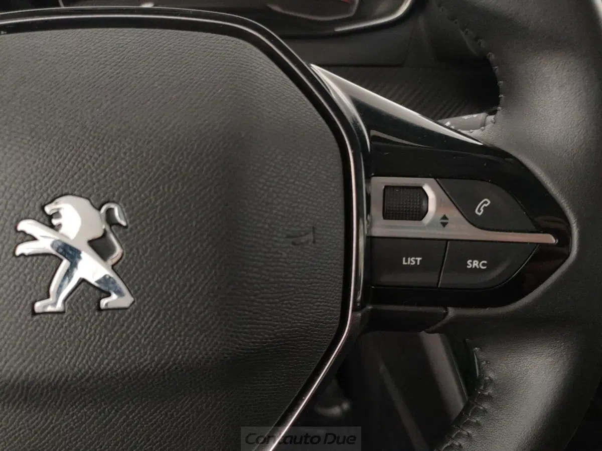 Peugeot 2008 usata a Caserta (20)