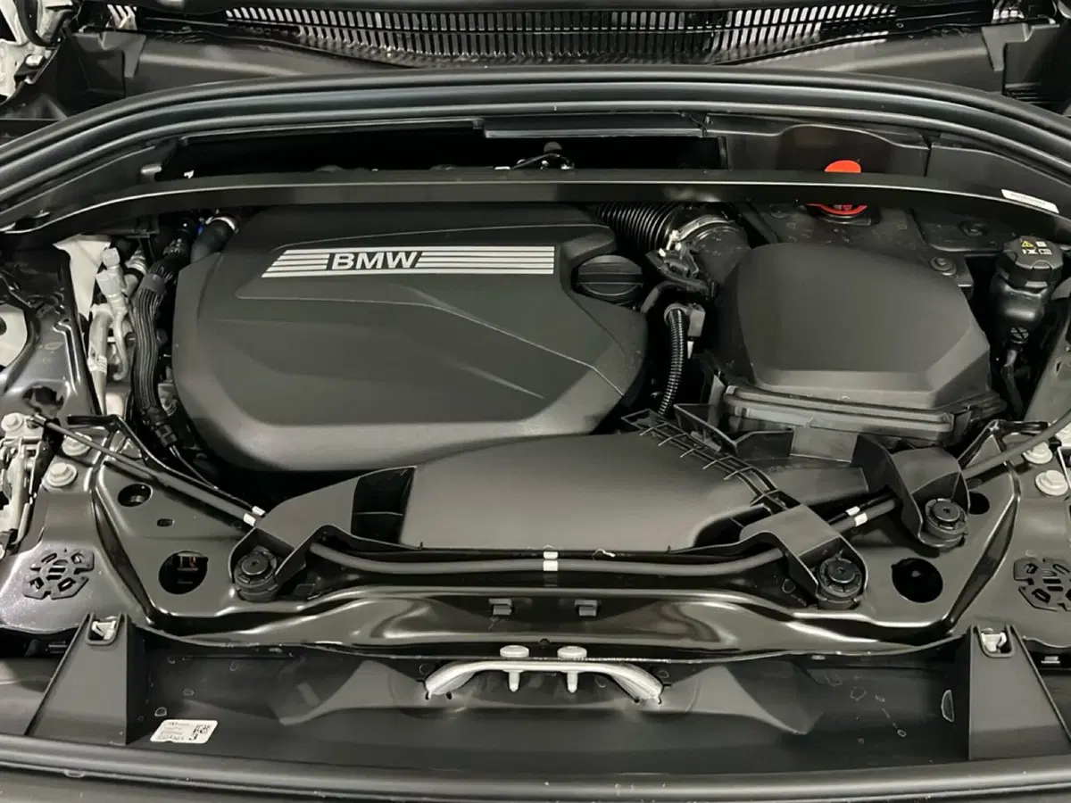 BMW X1 nuova a Torino (16)