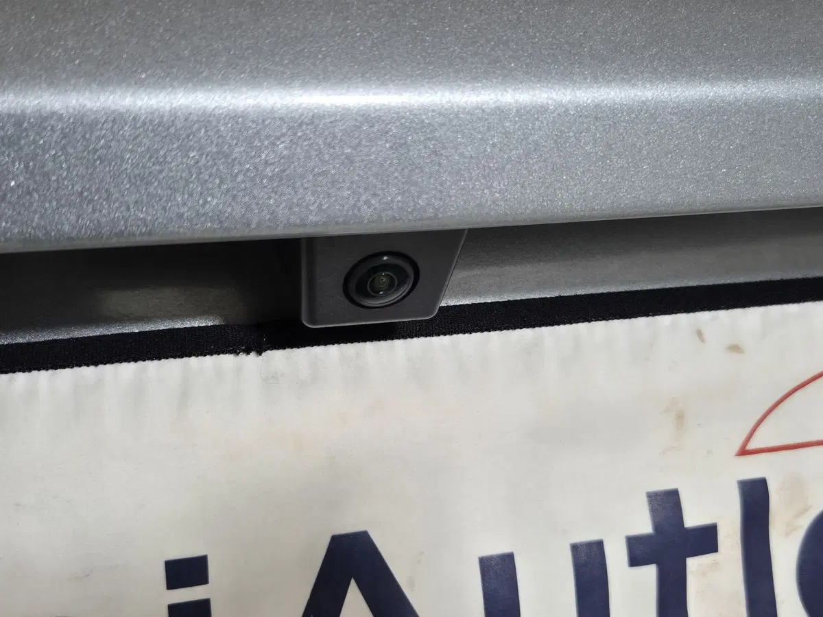 Jeep Avenger usata a Torino (16)
