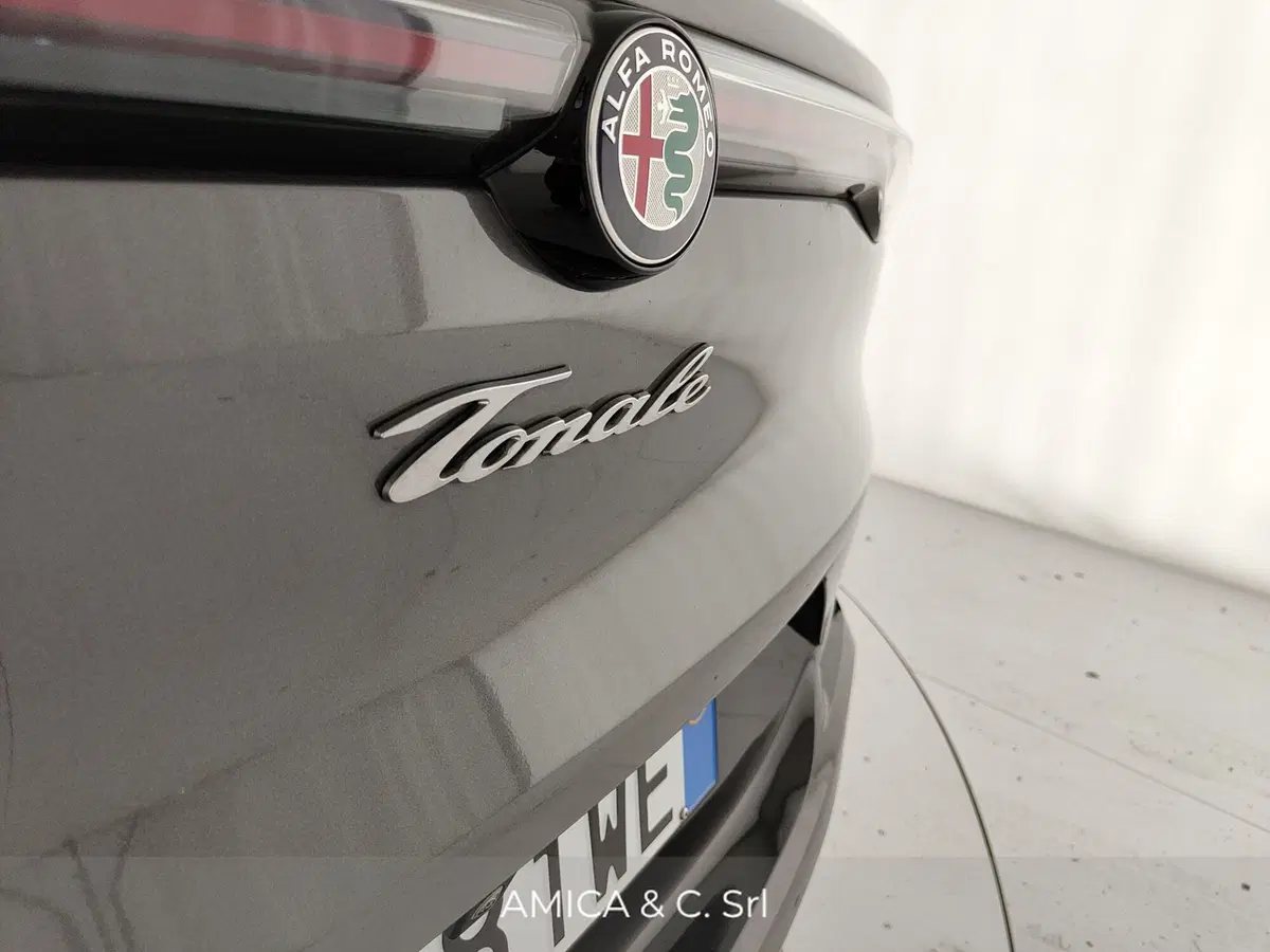 Alfa Romeo Tonale usata a Caserta (10)