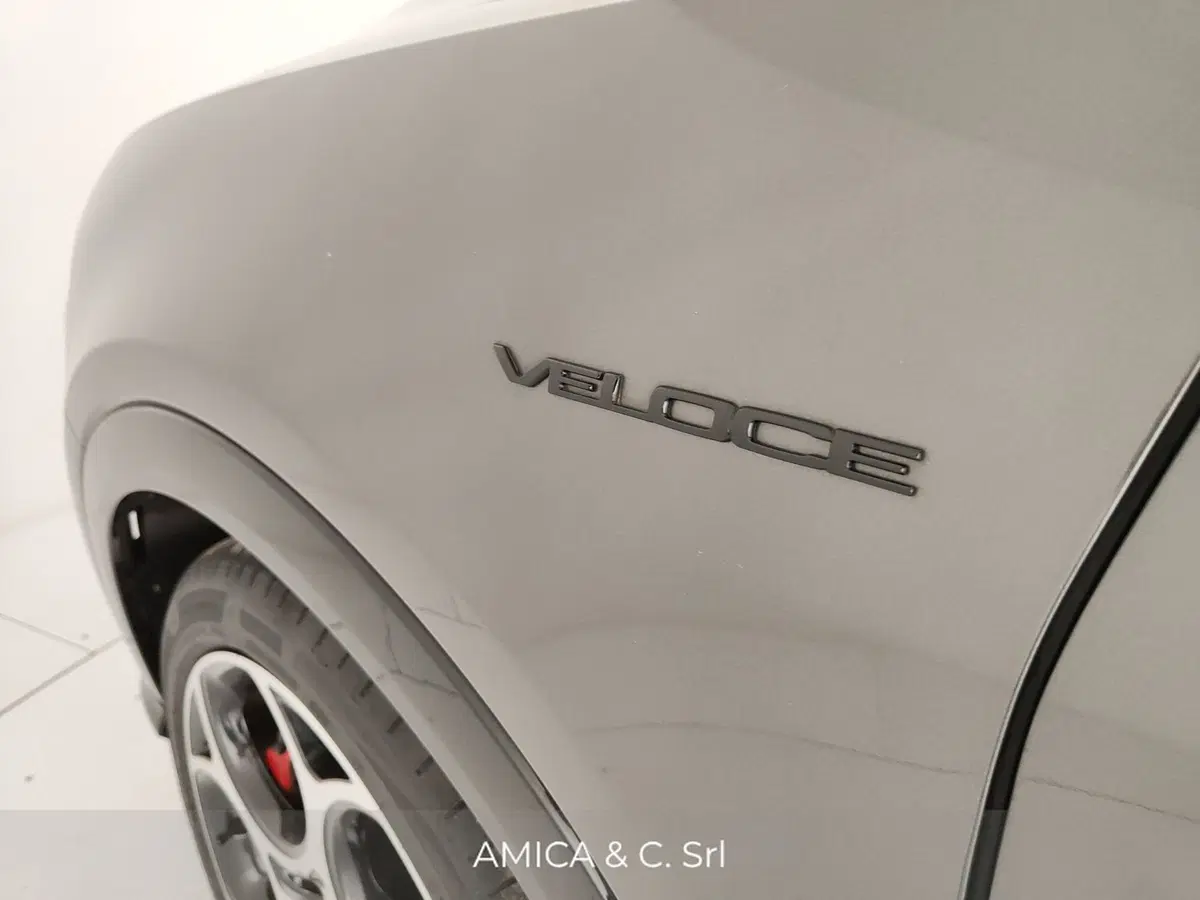 Alfa Romeo Tonale usata a Caserta (13)