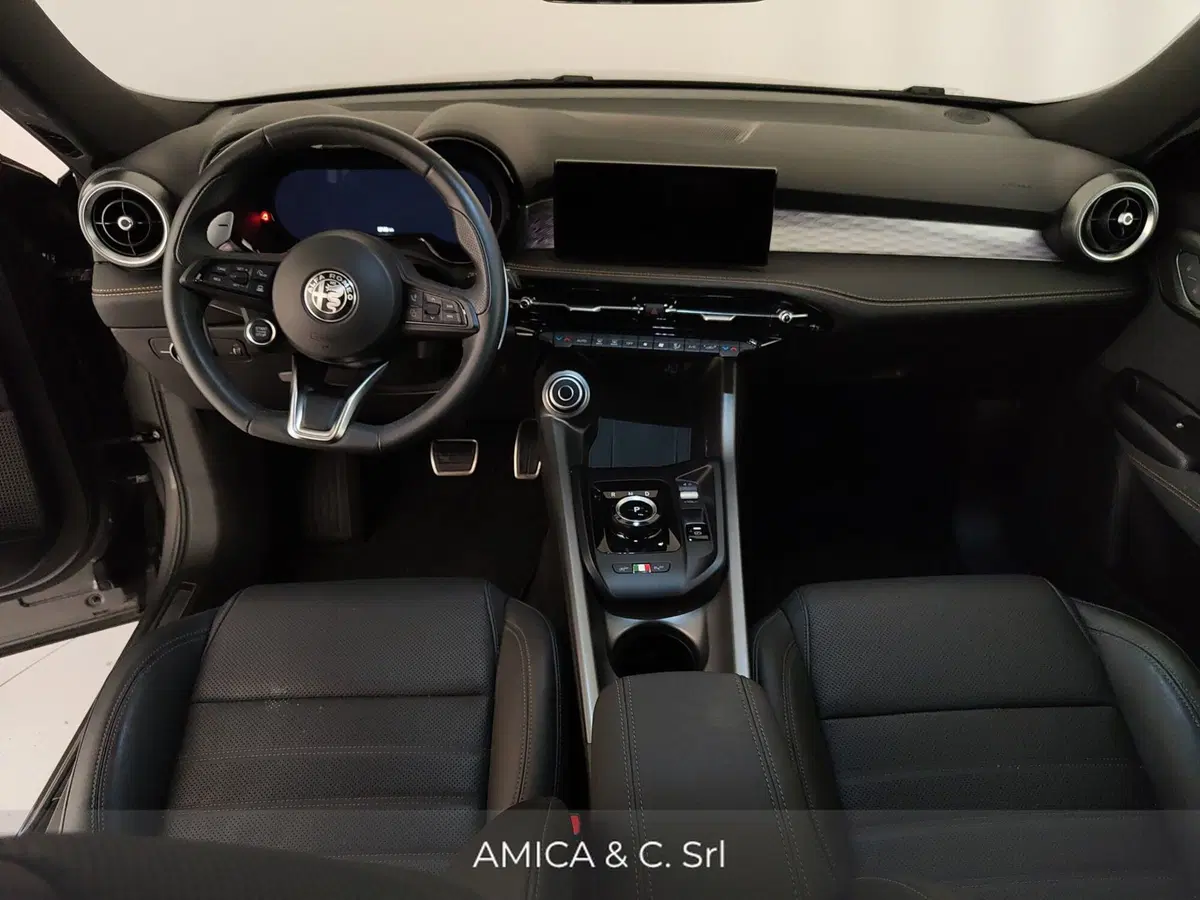 Alfa Romeo Tonale usata a Caserta (16)