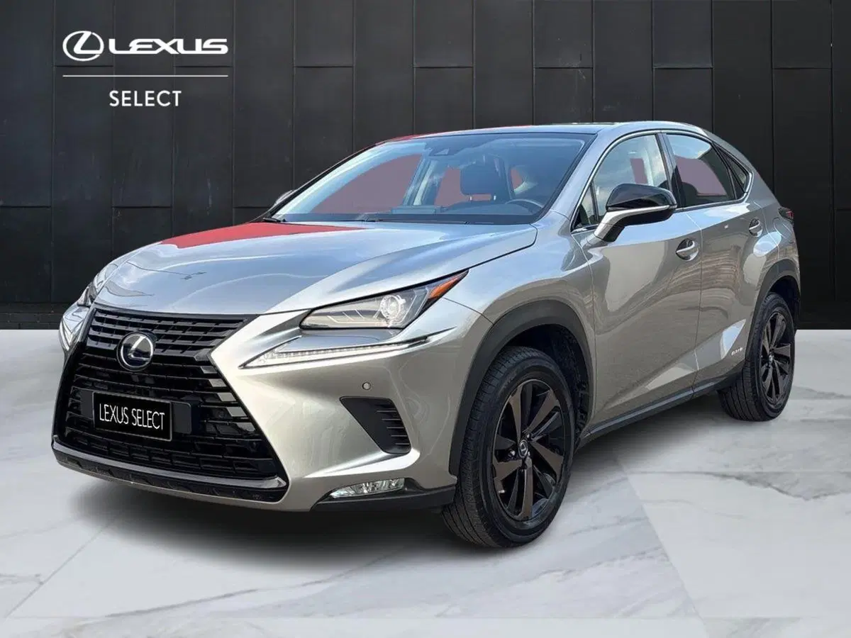 Lexus NX usata a Treviso