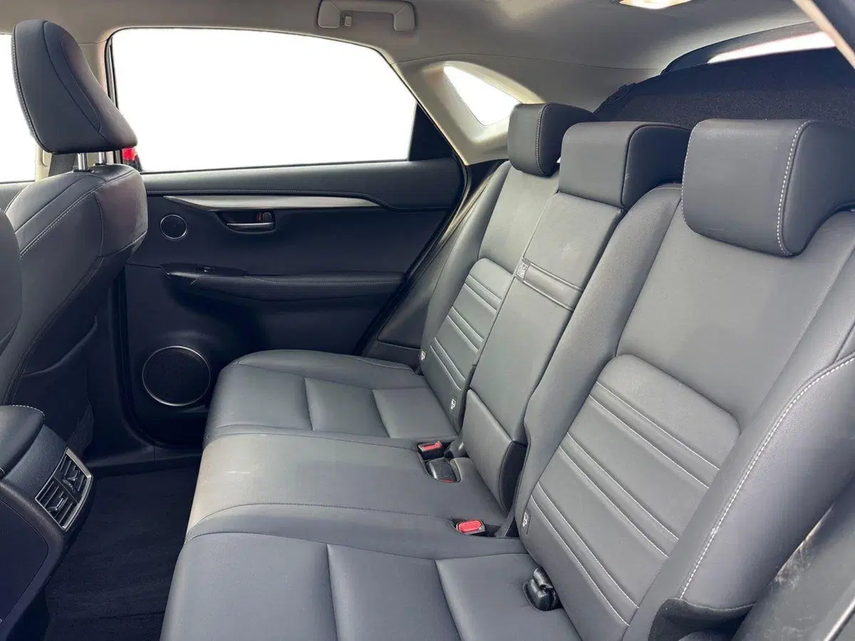 Lexus NX usata a Treviso (11)