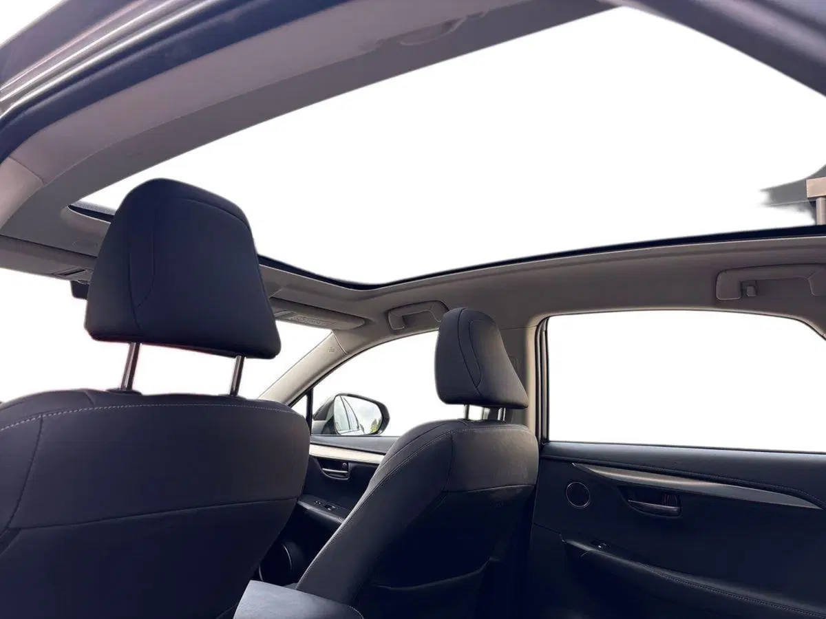 Lexus NX usata a Treviso (12)