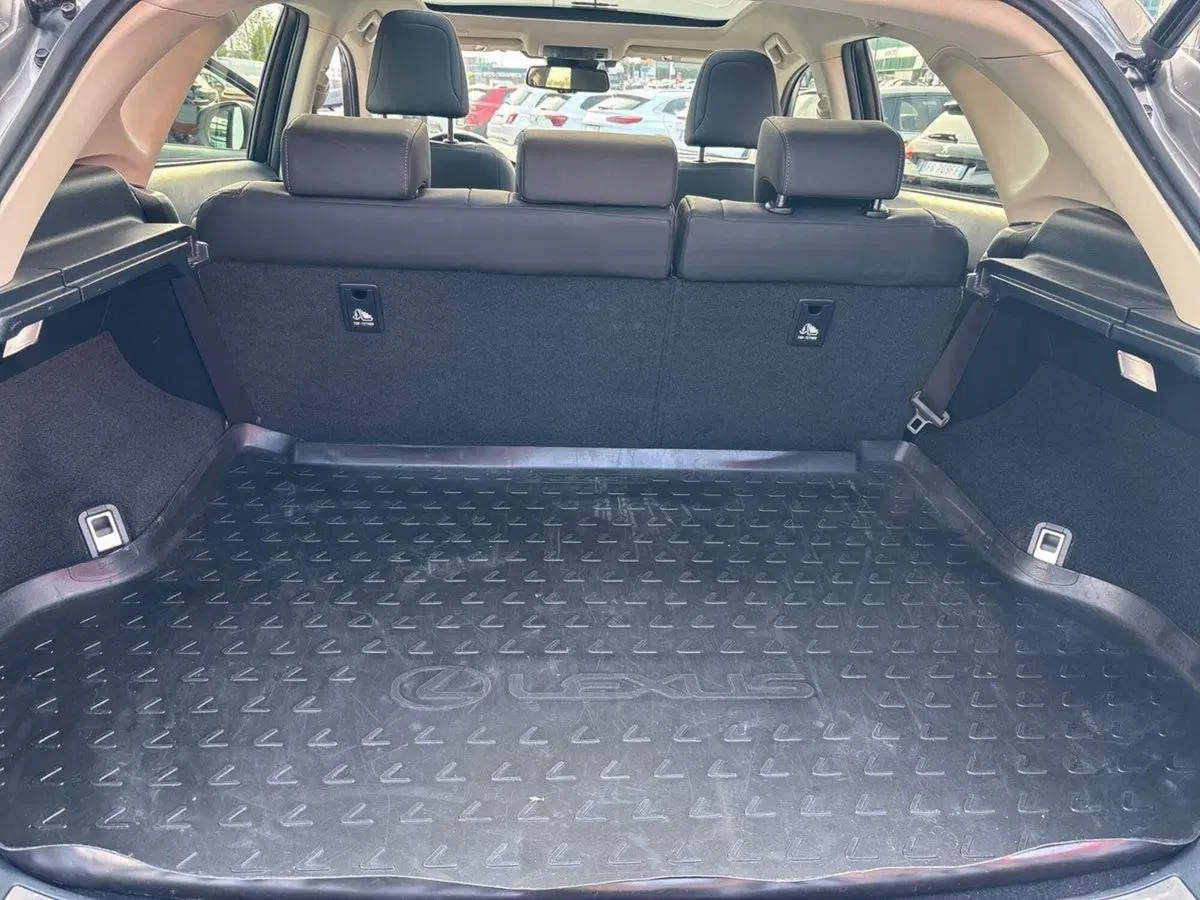 Lexus NX usata a Treviso (18)
