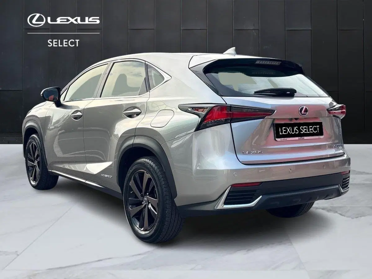 Lexus NX usata a Treviso (3)