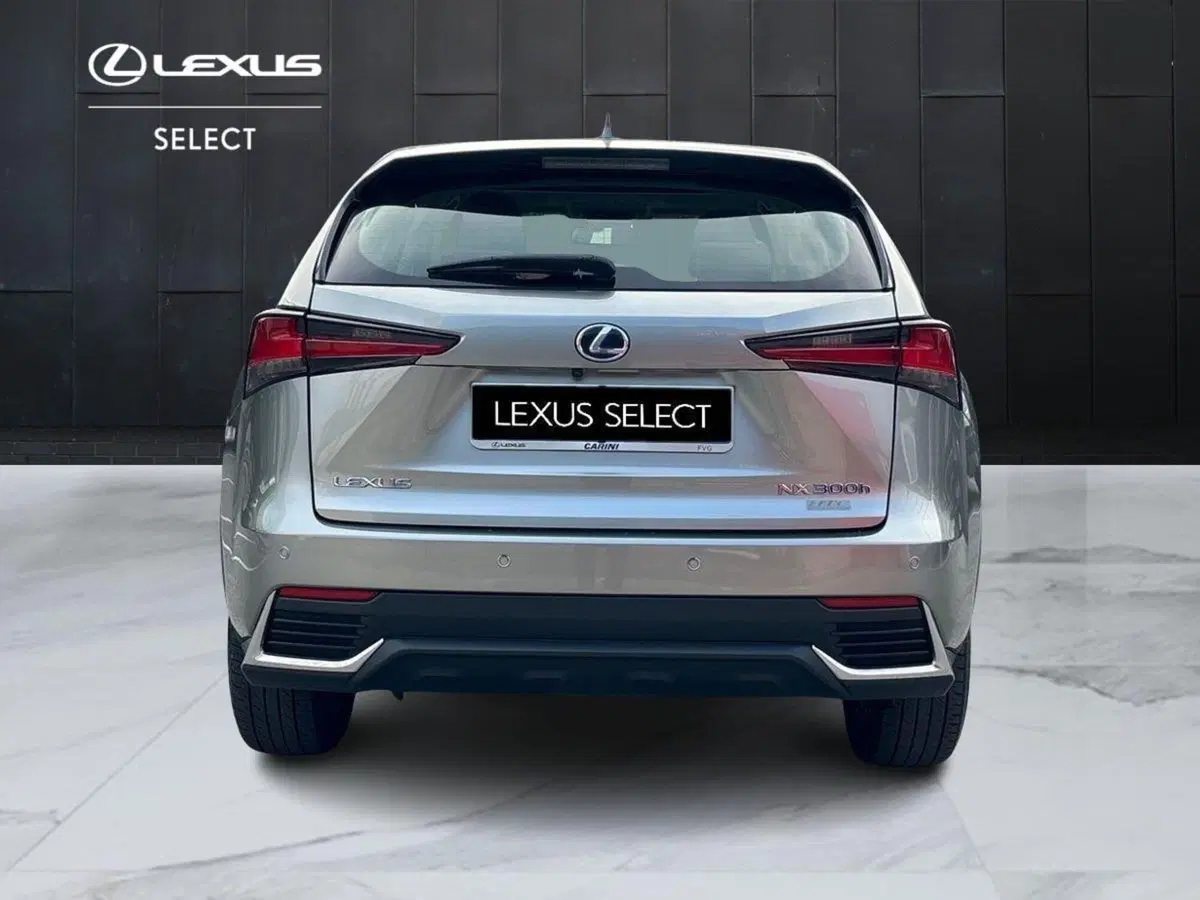 Lexus NX usata a Treviso (4)