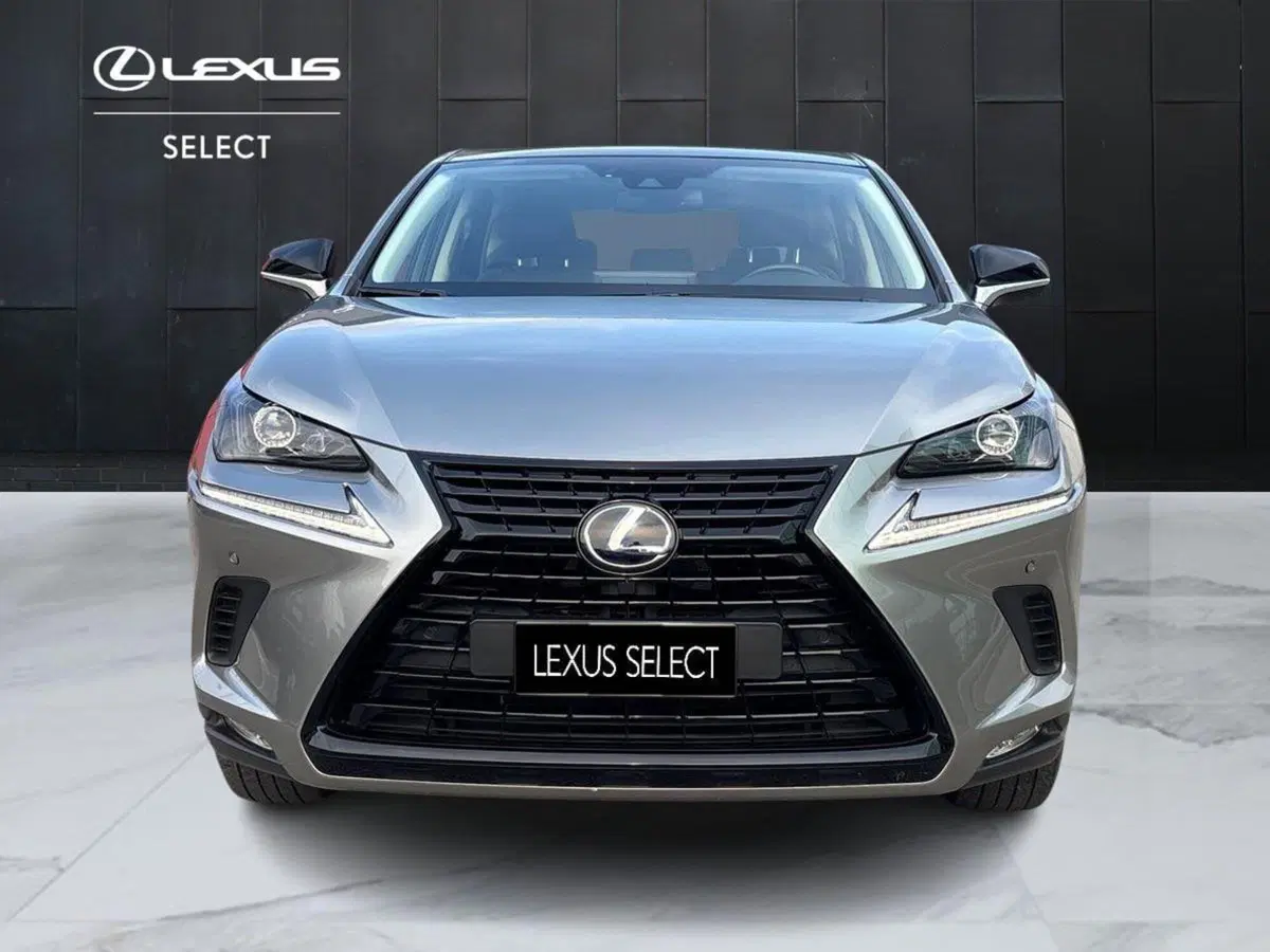 Lexus NX usata a Treviso (5)