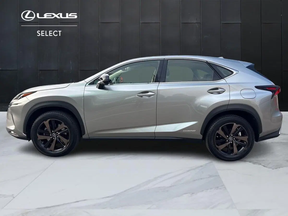 Lexus NX usata a Treviso (6)