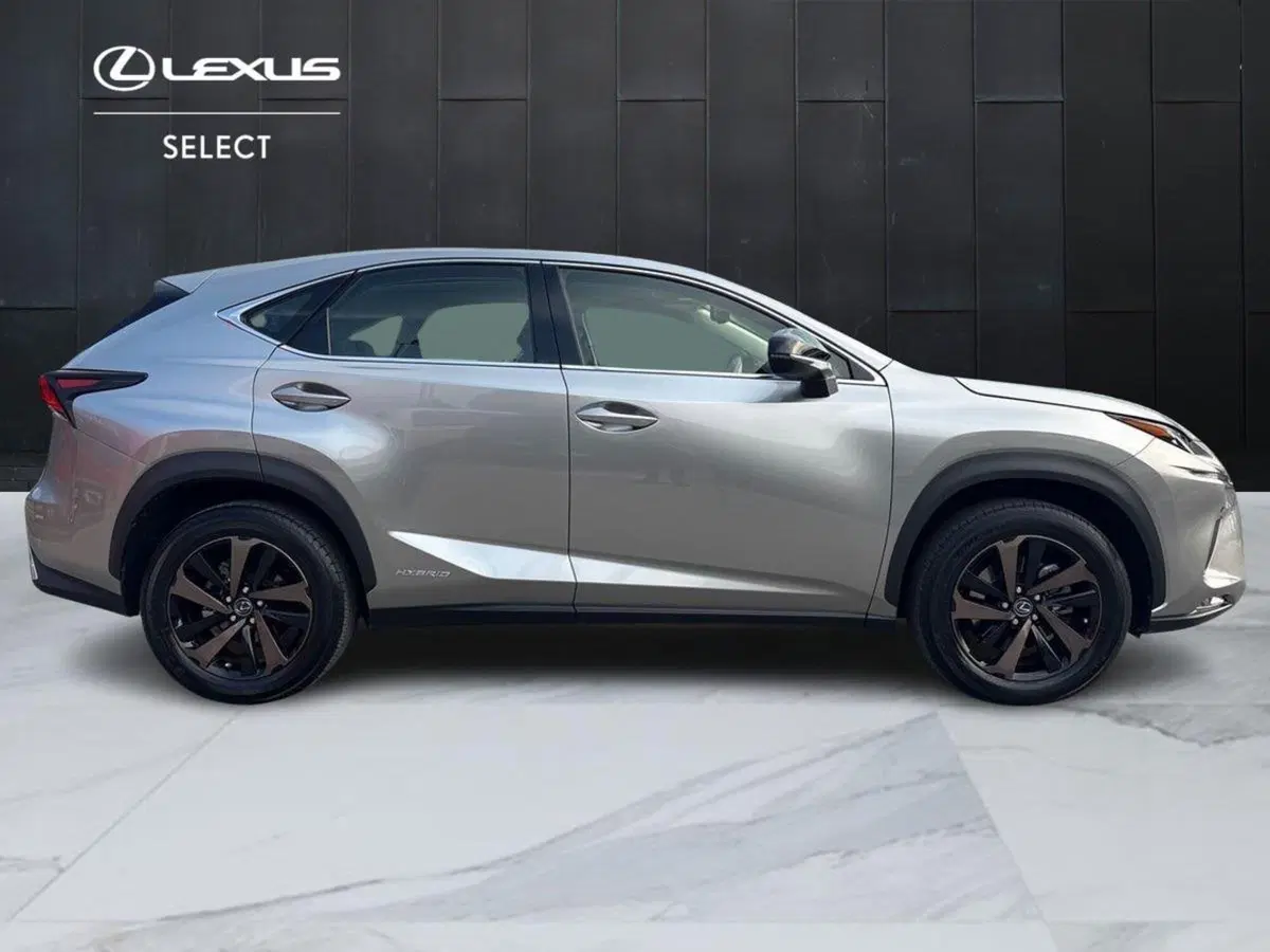 Lexus NX usata a Treviso (7)