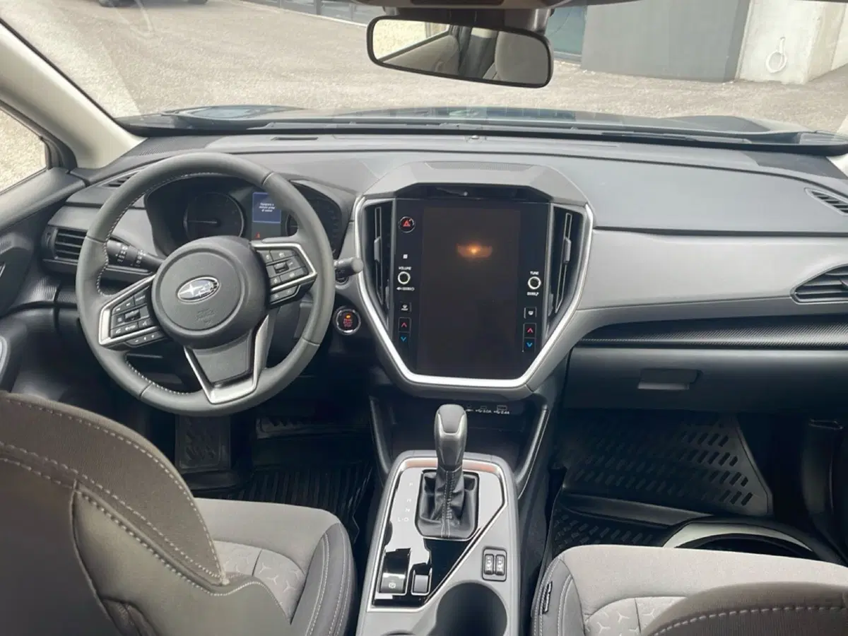 Subaru Crosstrek usata a Bologna (13)