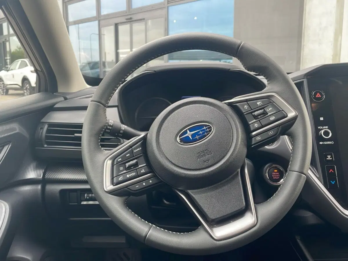 Subaru Crosstrek usata a Bologna (14)