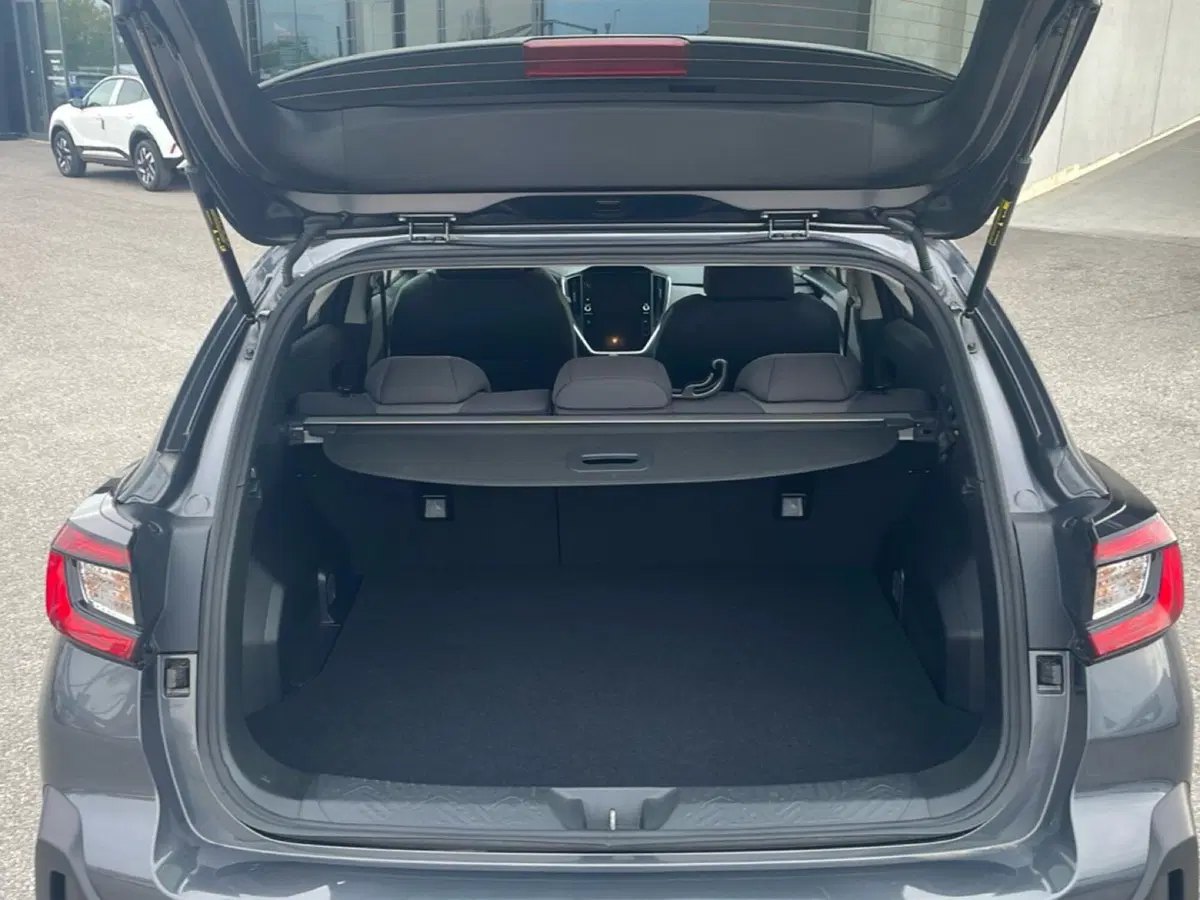 Subaru Crosstrek usata a Bologna (16)