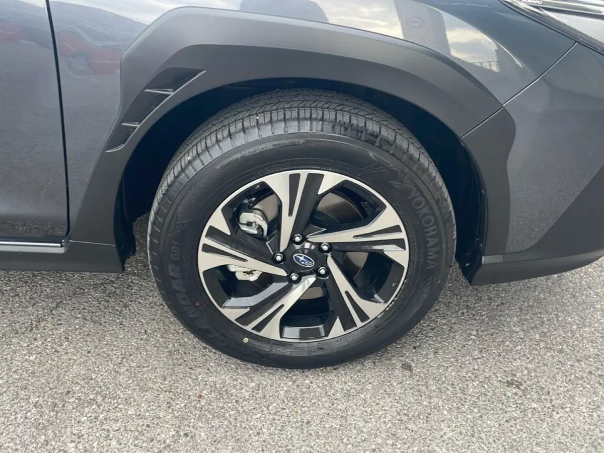 Subaru Crosstrek usata a Bologna (9)