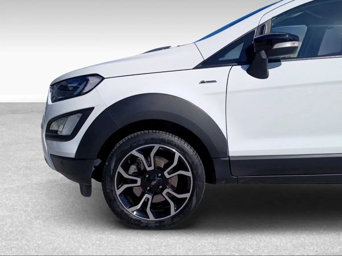 Ford EcoSport usata a Pisa (15)