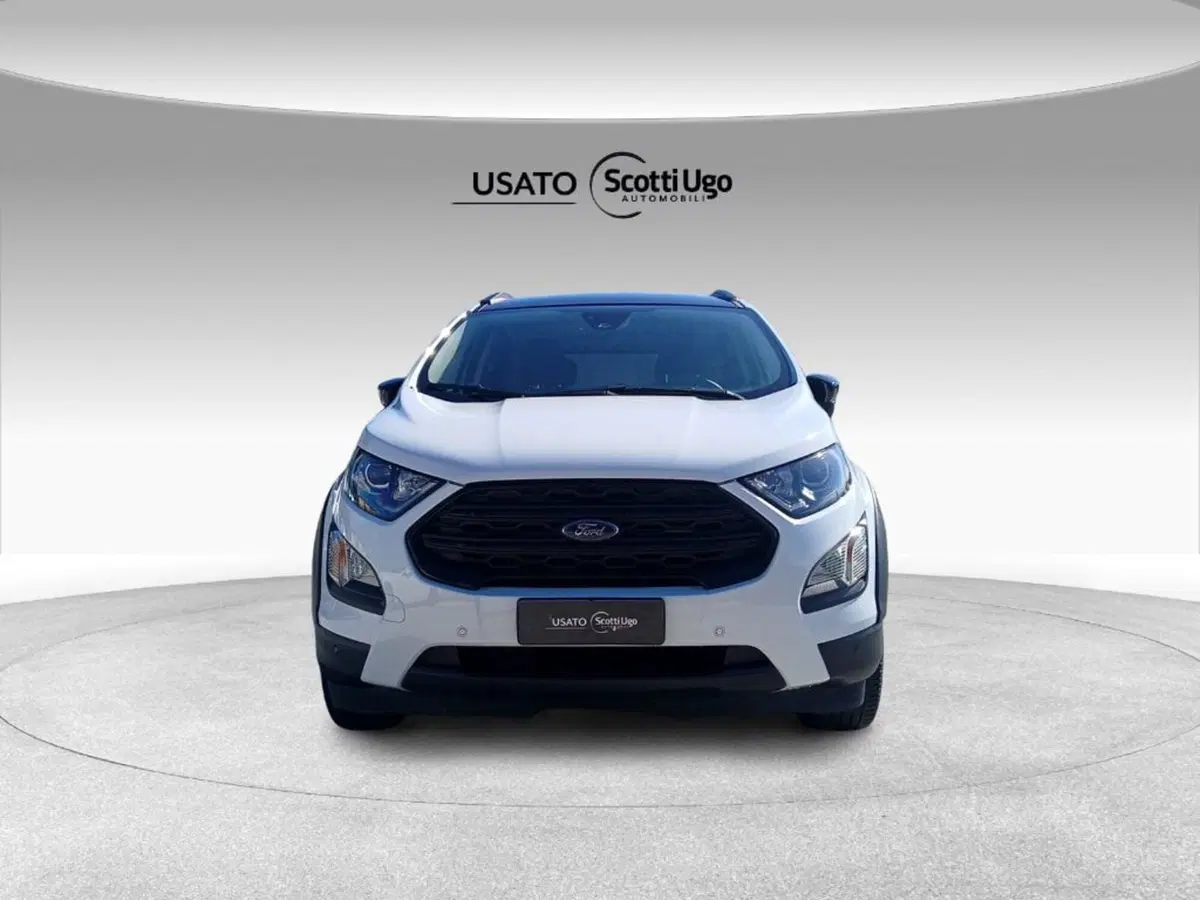 Ford EcoSport usata a Pisa (2)
