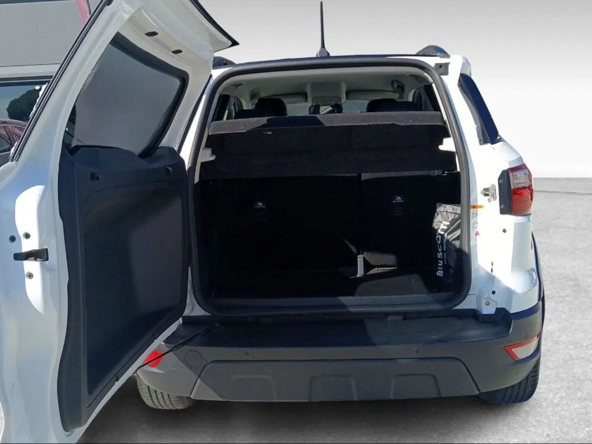Ford EcoSport usata a Pisa (6)